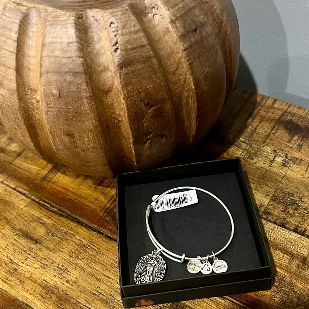 Alex & Ani Silver Charm Bangle Bracelet